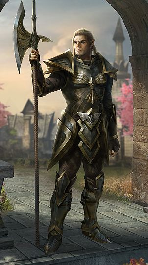 Urban City Street, Plate Armor, Elf Warrior, Race 2, Elder Scrolls Art, Elf Art, High Elf, Elder Scrolls Online, Fantasy Collection