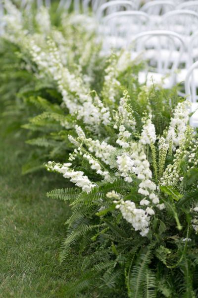 Wedding Ceremony Ideas, Ferns Wedding, Wedding Aisles, Wedding Ceremony Chairs, Fern Wedding, Ceremony Chairs, Aisle Flowers, Wedding Ceremony Flowers, Organic Wedding