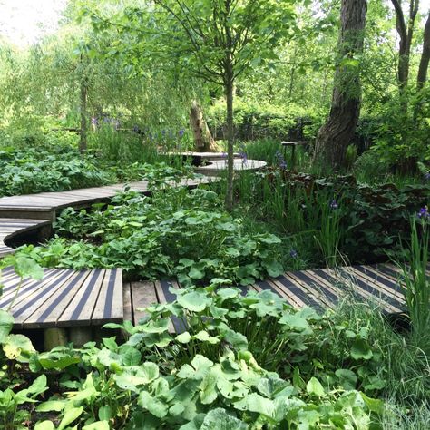 Bog Aesthetic, Stone Pathways Ideas Walkways, Pathways Ideas Walkways, Wilderness Garden, Stone Pathways, Landscape Pathway, Bog Garden, Herb Garden Design, Wild Garden