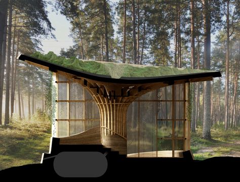 Natural Lifespan Meditation Hut Concept Wood Roof, Rammed Earth, Sea Shells, Gazebo, Meditation, Forest, Outdoor Structures, Lake, Architecture