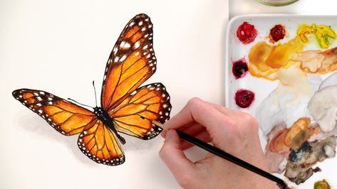 Realistic watercolor butterfly - Anna Mason Art Watercolour Monarch Butterfly, Butterfly Watercolor Painting, Paint Realistic, Anna Mason, Drawing Classes, Butterfly Tutorial, Watercolor Butterfly, Watercolor Paintings For Beginners, Painting Subjects