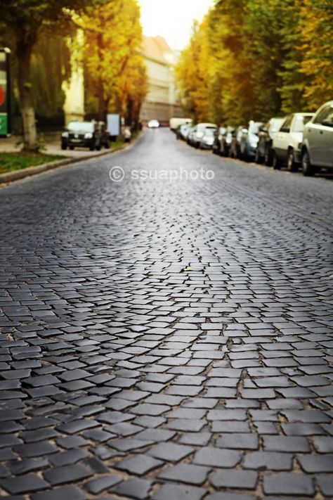 empty cobblestone road in European city | Royalty-Free Images, stock photography | #way #autumn #europe #city #cobblestone #park #old #urban #pavement #outdoor #block #pavement #road #brick #carriageway #citylife #cobblestone #paved #empty #fall #landscape #lviv #paving #season #stone-block #street #town #trackway #traffic #ukraine #ssuaphoto #stock #photography #wallpaper  #travel House Frontyard, Cobblestone Road, Cobblestone Paving, Stone Pavement, Wallpaper Travel, Stone Road, Europe City, Fall Landscape, Shutter Stock