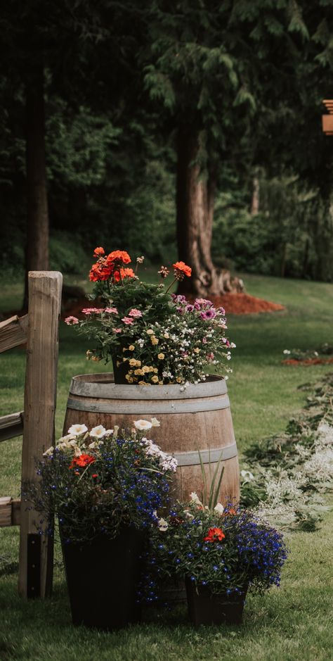 Rustic wine barrels with a beautiful floral arrangement are a wonderful decor option for your outdoor wedding or event.  Photo credit: @marieandleighphotography Wine Barrel Floral Arrangement, Wedding Decor Outdoor, Dj Wedding, Brewery Wedding, Wine Barrels, Fraser Valley, Wedding Ceremony Backdrop, Floral Baskets, Wedding 2025