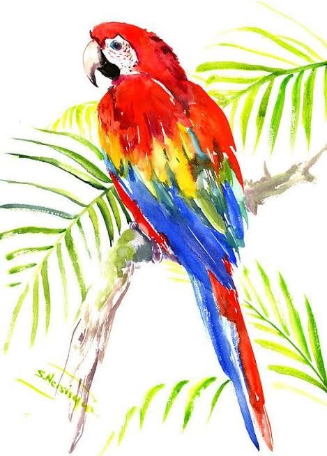 Watercolor Parrot Painting, Parrot Drawing, Parrot Painting, Scarlet Macaw, Parrots Art, Bird Watercolor Paintings, Watercolor Birds, Tropical Bird, Art Tropical