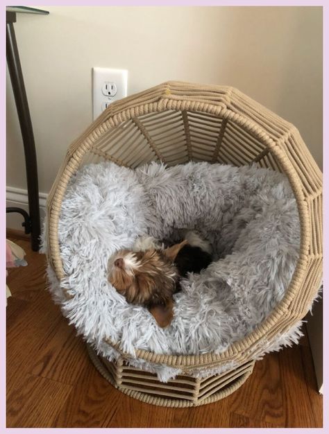 Cute Dog Furniture, Pet Beds Aesthetic, Cute Dog Bed Ideas, Puppy Bed Aesthetic, Preppy Dog Bed, Cat Corner Ideas Bedroom, Pet Corner Ideas Cats, Dog Setup In Bedroom, Dog Bed Aesthetic