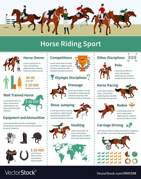 Luxury Horse Stables, Horse Riding School, Luxury Horse, Horseback Riding Tips, Horse Braiding, Flat Layout, Healthy Horses, Carriage Driving, Horse Info