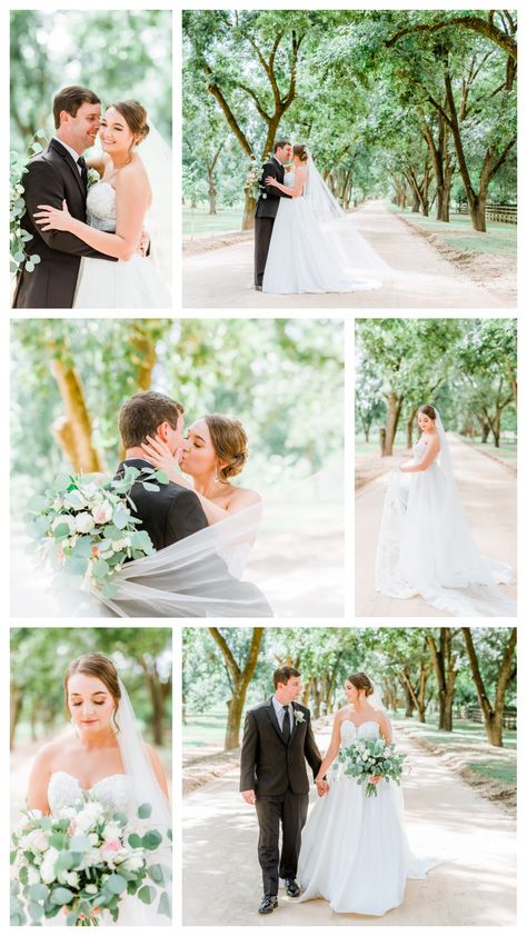 Light Bright Wedding Photography, Wedding Photos Bright And Airy, Pecan Orchard Wedding, Light Airy Photography, Wedding Photography Bright And Airy, Light And Bright Wedding Photos, Wedding Photography Styles Lighting, Bright Airy Wedding Photography, Natural Light Wedding Photography