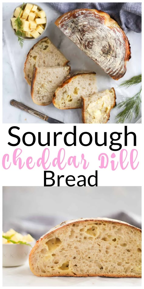 Cheddar Jalapeno Bread, Bread Flavor Ideas, Sourdough Cheese Bread, Dill Bread Recipe, Cheddar Bread Recipe, Dill Bread, Cheese Sourdough, Sourdough Ideas, Cheddar Bread