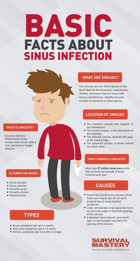 Maxillary Sinus, Congestion Relief, Sinus Congestion, Chest Congestion, Sinus Infection, Basic Facts, Good Health Tips, Food Tips, Health Plan