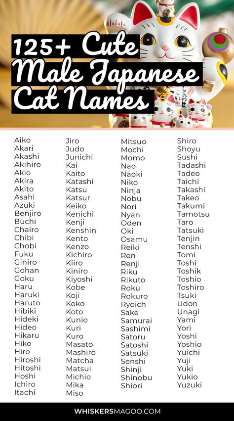 125+ Cute Male Japanese Cat Names (With Meanings) - Are you looking for a cute Japanese cat name for your male cat? Look no further! From Chibi to Mochi, Akito, Yoshi, and many more, check out over 125 cute male Japanese cat names with meanings right here! #catnames Japanese Ideas Name, Cute Japanese Pet Names, Japanese Names For Pets, Japanese Cute Name, Aesthetic Japanese Names With Meaning, Male Username Ideas, Japanese Names For Cats, Oc Names Ideas Japanese, Japanese Male Names And Meanings