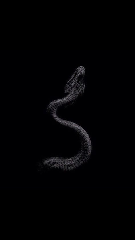 Peaky Blinders Wallpaper, Pretty Snakes, Snake Wallpaper, Cute Snake, Wallpaper Iphone Neon, Black Phone Wallpaper, Gold Aesthetic, Black Wallpaper Iphone, Beautiful Dark Art