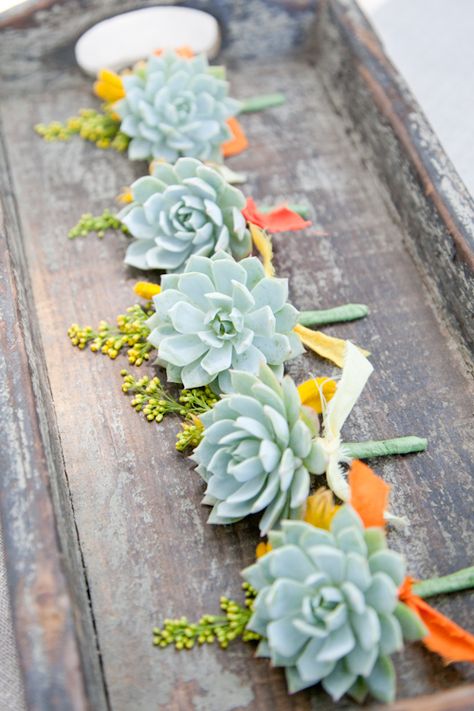 succulent boutonnieres with pops of yellow and orange // photo by LoveMeSailor.com Southern Weddings, Succulent Boutonniere, Boda Mexicana, Wedding Flowers Summer, Succulent Wedding, Boutonniere Wedding, Cactus Y Suculentas, Charleston Wedding, Wedding Magazine