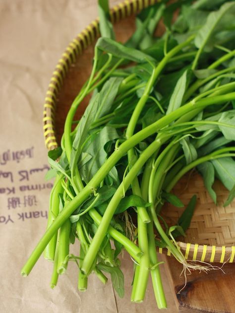 Kangkong (water spinach) via Season with Spice | "You are meandering with the river, strolling along its bank.  A gentle breeze lifts your spirits and sways the leaves of the kangkong plants that float peacefully at the river’s edge. A song of village life; of a river that flows calmly in its own wandering way; of a leafy plant that grows wild in the water, softly guided by the wind and by the current." - Folk song in Malaysia and Indonesia about the meaning of the vegetable kangkong Water Spinach Plant, Kangkong Plant, Kangkong Leaves, Kangkong Recipe, Chinese Spinach, Water Spinach, Khmer Food, Asian Spices, Aquatic Plant