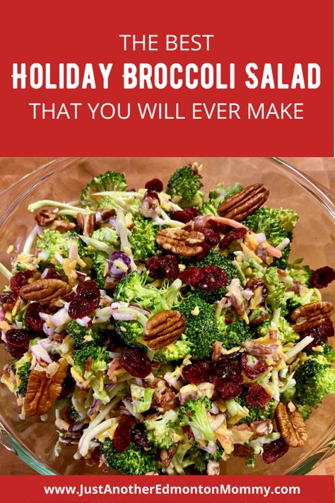 The Best Holiday Broccoli Salad That You Will Ever Make Easy Veggie Sides, Easy Dinner Dishes, Broccoli Recipes Side Dish, Broccoli Salad With Cranberries, Best Broccoli Salad Recipe, Holiday Salads, Christmas Salads, Broccoli Salad Recipe, Creamy Dressing