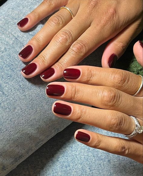 Red Nail, Unghie Sfumate, Wine Nails, Dark Red Nails, Short Square Nails, Casual Nails, Makijaż Smokey Eye, Nagel Inspo, Manicure Y Pedicure