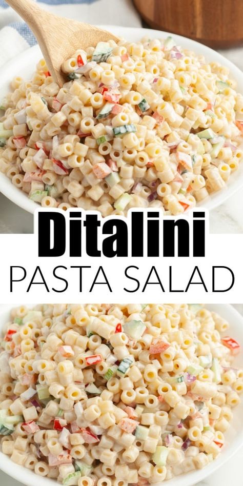 Learn how to make this easy, delicious ditalini pasta salad. A version of a classic macaroni salad, this ditalini pasta salad has a creamy, mayonnaise based dressing. This pasta salad is perfect for barbecues, potlucks, holidays, and more. Small Pasta Salad, Ditalini Macaroni Salad, Pasta Salad Mayo, Ditalini Salad, Ditalini Pasta Side Dish, Ditalini Pasta Recipes Cold, Rotini Pasta Side Dishes Easy, Ditalini Pasta Salad, Pasta Salad Tortellini Cold