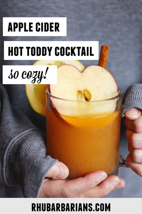 Apple Cider Whiskey, Apple Cider Hot Toddy, Hot Toddy Cocktail, Cider Cocktail Recipes, Cider Cocktail, Toddy Recipe, Apple Cider Cocktail, Hot Toddies Recipe, Cider Cocktails