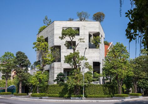 Trees burst through walls of Ha Long Villa by Vo Trong Nghia Architects Ha Long Bay, Modern Concrete Homes, Vtn Architects, Vo Trong Nghia, Double Skin, Green Facade, Concrete Facade, Concrete Architecture, Casa Patio