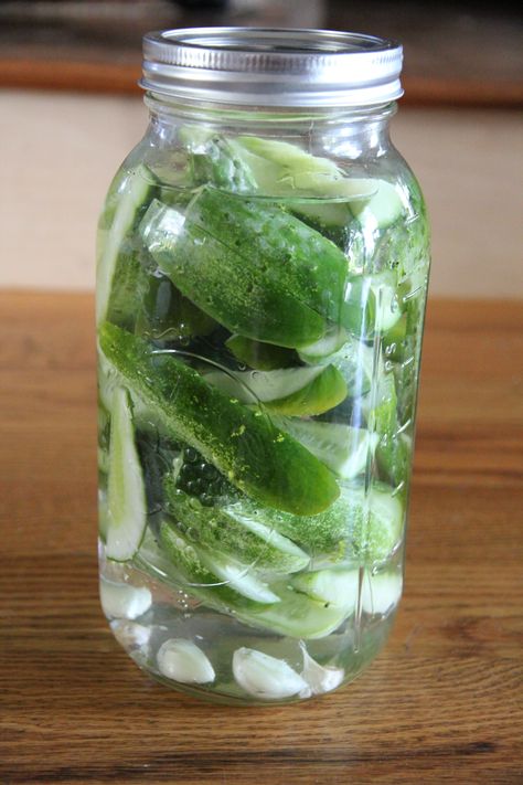 Half Sour Refrigerator Pickles, Half Sour Pickle Recipe, Pickles Recipes, Garden Vegetable Recipes, Salsa Canning Recipes, Garlic Dill Pickles, Pickled Foods, Pickle Recipes Homemade, Dill Pickle Slices