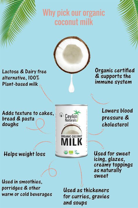 Health Benefits Of Coconut Milk, Coconut Milk Benefits Health, Coconut Lifestyle, Golden Milk Recipe Turmeric, Benefits Of Coconut Milk, Almond Milk Benefits, Coconut Milk Benefits, Best Coconut Milk, Low Cholesterol Diet Plan