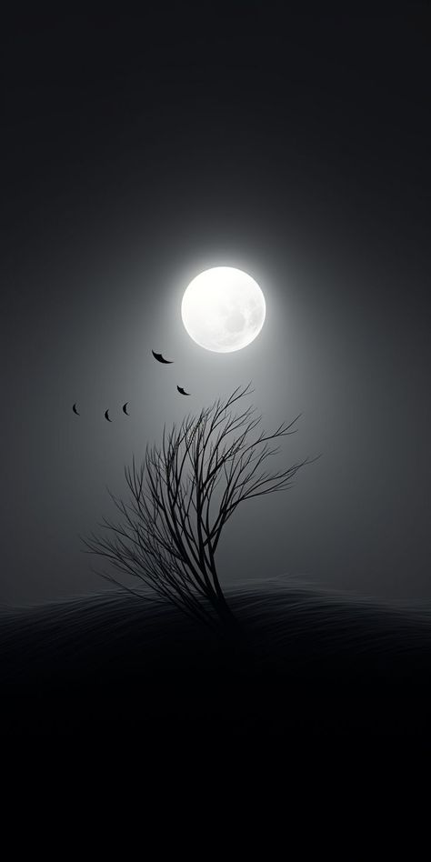 Aesthetic Moon Wallpaper Dark, Background Moon Aesthetic, Night Scenery Aesthetic, Black And White Iphone Wallpaper, Night Moon Aesthetic, White Iphone Wallpaper, Moon Black And White, Artist Wallpaper, Moonlight Photography