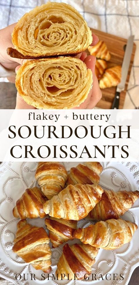 Sourdough Snacks, Sourdough Croissants, Croissants Recipe, Snacks Dinner, Easy Sourdough Bread Recipe, Recipe Using Sourdough Starter, Sourdough Bread Starter, Dough Starter, Sourdough Starter Discard Recipe