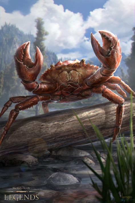 ArtStation - Elder Scrolls Legends : Enraged Mudcrab, Gabriela Dea Julia Crab Images, Images For Drawing, Elder Scrolls Legends, Ocean Creatures Art, Giant Crab, Big Crab, Crab Art, Elder Scrolls Skyrim, The Elder Scrolls