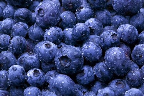 blueberries, photo from qctimes.com, Cathy T #blueberries Feeling Blue, Love Blue, Canning Recipes, Something Blue, Blue Aesthetic, Fruits And Veggies, Blue Hues, Blueberries, Fresh Fruit