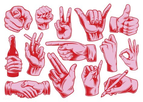 Collection of illustrated hand signs | premium image by rawpixel.com Hand Illustration Drawing, Hand Illustration Design, Hand Sign Tattoo, Ok Hand Sign, Photoshop For Beginners, Hands Vector, Hand Graphic, Hand Signs, Pointing Hand