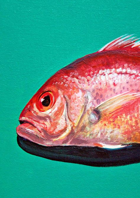 Art Sketchbook Backgrounds, Red Snapper Fish, Backgrounds Simple, Marine Life Art, Snapper Fish, Aquatic Art, Gcse Art Sketchbook, Sea Life Art, Red Snapper