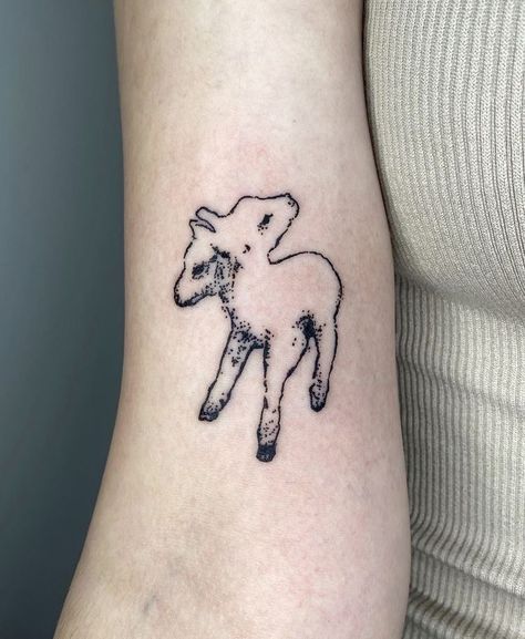 Two Head Animal Tattoo, Bag Of Bones Tattoo, Calf With Two Heads Tattoo, 2 Headed Lamb Tattoo, 20 Seconds Tattoo, Two Headed Sheep Tattoo, Two Headed Dog Tattoo, Double Headed Animal Tattoo, Lamb Tatoos