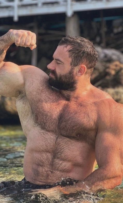 Untitled Big Beards Men, Bear Tumblr, Handsome Bearded Men, Gym Guys, Handsome Older Men, Hunks Men, Big Beards, Beefy Men, Muscle Bear