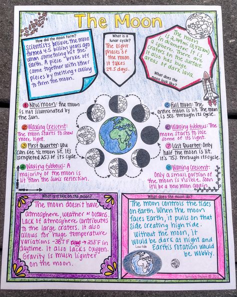 Visual Note Taking, Doodle, and Sketch Note Strategies to Incorporate into Your Classroom - Samson's Shoppe 6th Grade Science, Note Strategies, Note Taking Strategies, Visual Note Taking, Sketch Note, Doodle Notes, Nonfiction Reading, Science Notes, School Organization Notes