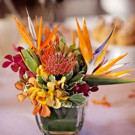 Bird of Paradise Centerpieces Tropical Flower Arrangements Wedding, Bird Of Paradise Wedding, Tropical Wedding Centerpieces, Tropical Centerpieces, Bird Of Paradise Flower, Wedding Birds, Tropical Wedding Ideas, Tropical Floral Arrangements, Tropical Flower Arrangements