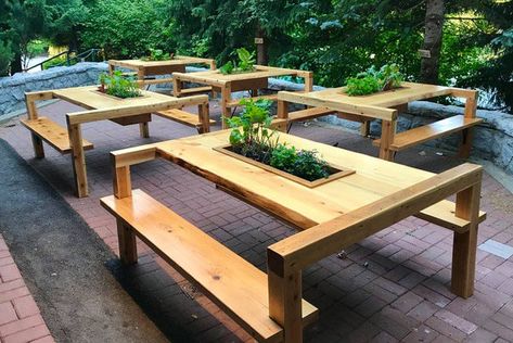 Hunter Gather Restaurant – LifeSpace Gardens Restaurant Table Design, Outdoor Restaurant Patio, Live Edge Table Tops, Table Design Ideas, Picnic Table Bench, Garden Tables, Tree House Plans, Whistler Bc, Diy Outdoor Table