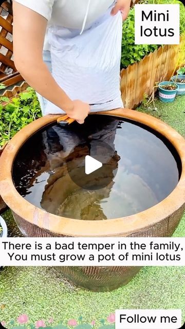 Plant Containers Diy, Small Garden Ideas On A Budget, Lotus Pond Garden, Garden Ponds Ideas, Mini Garden Ideas, Plants Indoor Decoration, Boho Garden Ideas, Planting Hacks, Water Plants Indoor