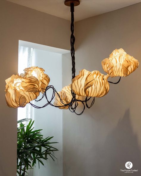 Drawing inspiration from coconut flowers, this handcrafted chandelier with a distressed copper armature, beautifully complements the hand-sculpted banana paper shades. Will certainly lend an artistic touch to residential, corporate and hospitality spaces. Explore more at our website!

#oorjaa #light #lighting #homedecor #living #furniture #decor #distressed #antique #wood #lightingdesign #furnituredesign #luxury #interiors #homeinteriors #vintage #rustic #inspiration #architecturaldesign Banana Paper, Paper Lamps, Coconut Flower, Japanese Lamps, Rustic Inspiration, Purple Turtle, Bug Art, Luxury Interiors, Antique Wood