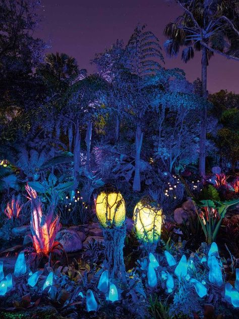 New Nighttime Photos of 'Pandora - The World of Avatar' Released | The Kingdom Insider Avatar Nature, Nighttime Photos, Pandora Art, Orlando Museum Of Art, Avatar Theme, Deco Jungle, Pandora Avatar, Avatar World, Fantasy Places