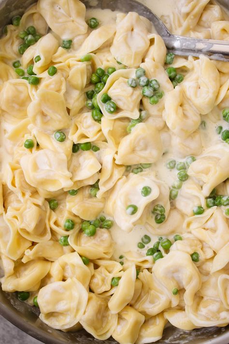 Tortellini alla Panna is so delicious and comes together with a handful of ingredients in just 15 minutes! Tortellini and sweet peas are tossed in a rich, and cheesy cream sauce. An easy and comforting Italian recipe to make on a busy weeknight or whenever you are craving something a little indulgent. Tortellini Recipes With Peas, Tortellini And Peas Recipe, Tortellini With Cream Sauce, Tortellini Recipes White Sauce, Tortellini Cream Sauce, Tortellini Peas, Tortellini With Peas, Pasta With Cream Sauce, Tortellini Alla Panna