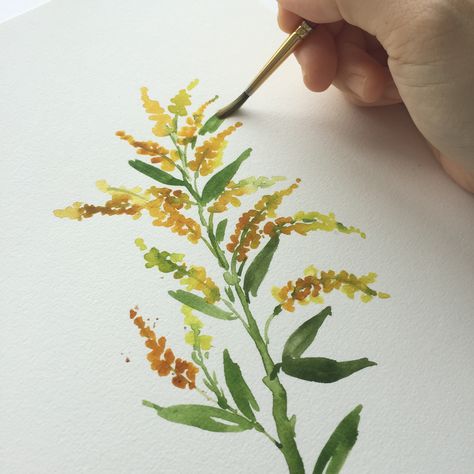 Learn how to paint #goldenrod #flower with #watercolor Tattoo Drawings On Paper, Daily Painting Challenge, Wildflower Mural, Watercolor Challenge, Goldenrod Flower, Kentucky Art, Flower Reference, Painting Challenge, Paint Flowers