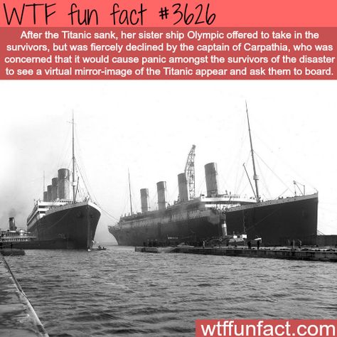 Titanic Facts, Titanic History, Titanic Ship, Facts Funny, Titanic Movie, Creepy Facts, The Titanic, Rms Titanic, Movie Facts