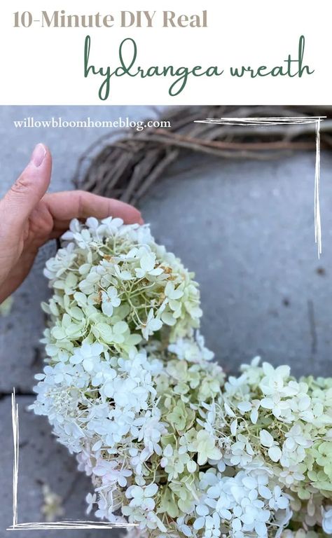 I love affordable home decor and find that one of the best ways to decorate in a budget-conscious way is to gather things from nature. This time of year, our hydrangea bushes are overflowing with blooms. If you have a hydrangea bush or a neighbour who is willing to share, you can make this easy wreath in just ten minutes. #hydrangeawreath #diyhydrangea wreath #DIYfallwreath #fallwreath Dried Hydrangea Wreath Diy, Hydrangea Wreath Diy, Easter Inspiration Decor, White Hydrangea Wreath, Fall Wreath Tutorial, Beauty Bush, Hydrangea Varieties, Easy Wreath, Fresh Wreath