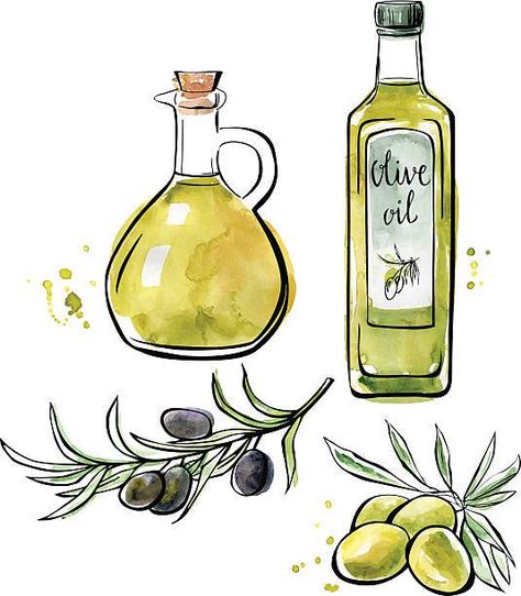 Olive Oil Sticker, Olive Oil Painting, Olive Oil Illustration, Olive Oil Drawing, Olives Drawing, Cookbook Drawings, Olive Oil Cartoon, Olive Sketch, Olives Illustration