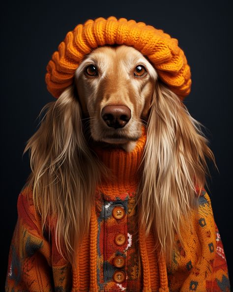 An Afghan Hound wearing orange sweater and hat. AI-generative art created using MidJourney. Dressed Up Dogs, Surealism Art, English Home, Animal Portraits Art, Orange Sweater, Afghan Hound, Lowbrow Art, Pet Costumes, Animal Faces