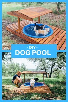 Dog Pool Diy, Diy Dog Pool, Covered Pool, Backyard Dog Area, Dog Friendly Backyard, Dog Backyard, Wading Pool, Pool Diy, Dog Spaces