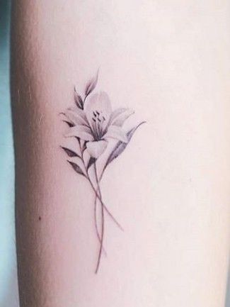 250+ Lily Tattoo Designs With Meanings (2020) Flower ideas & Symbols Amaryllis Tattoo, Jasmine Flower Tattoo, Lily Tattoo Designs, Lily Flower Tattoo, Lilly Flower Tattoo, Small Flower Tattoo, Jasmine Tattoo, Tiger Lily Tattoos, Water Lily Tattoos