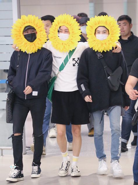 Sunflower, Walking, Bts