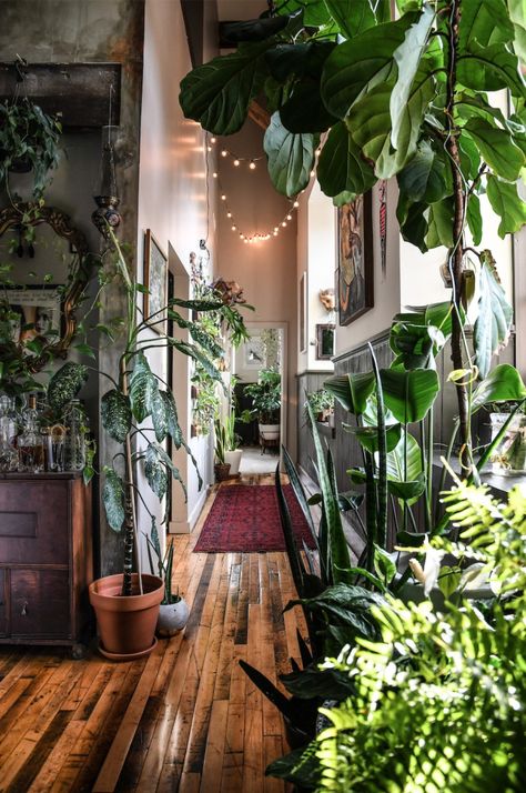 Wonder Plants 2: Your Urban Jungle Interior + Win a copy! Urban Jungle Interior, Casa Hobbit, Deco Jungle, Decor Ikea, Cute Dorm Rooms, Houseplants Indoor, Indoor Jungle, Loft Apartment, Home Design Decor