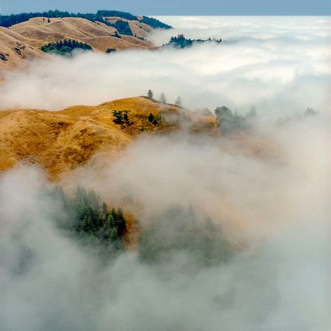 Marin County, California Mount Tamalpais, Marin County California, Stinson Beach, Aerial Photograph, California Landscape, Marin County, Coastal Life, Culture Travel, Golden Gate