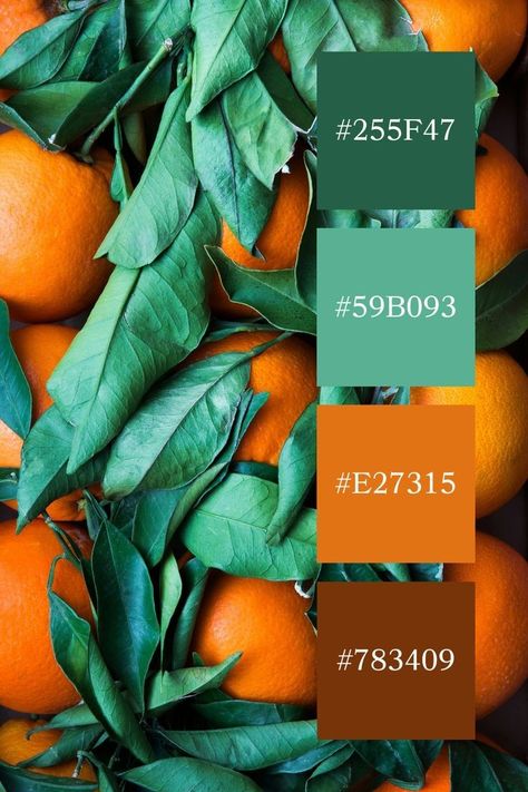 Green Orange Color Palette, Color Scheme Generator, Dark Orange Color, Orange Color Palette, Orange Color Palettes, Green Colour Palette, Palette Color, Color Balance, Rich Green